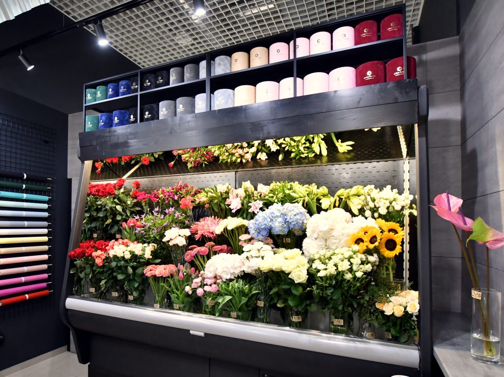najemca galeria kwiatów w galerii solnej