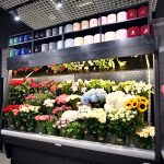 najemca galeria kwiatów w galerii solnej