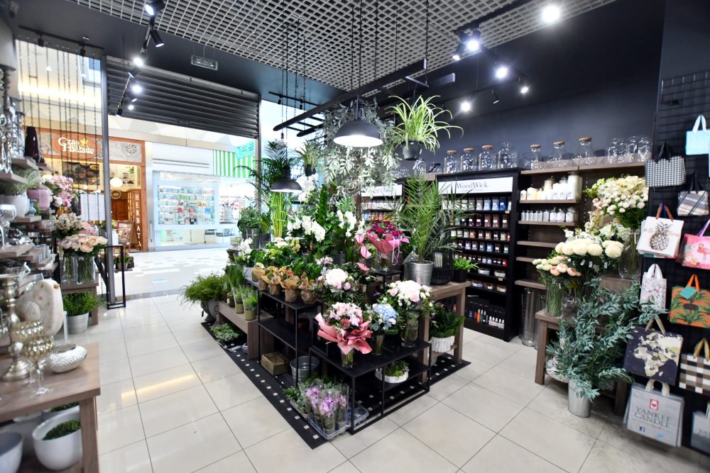 najemca galeria kwiatów w galerii solnej