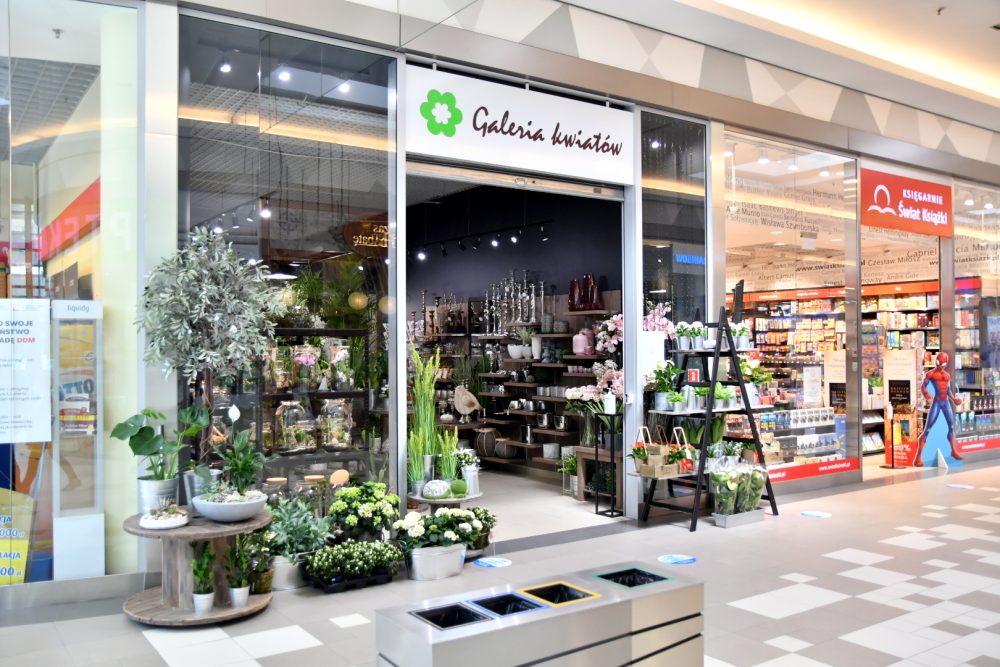 najemca galeria kwiatów w galerii solnej