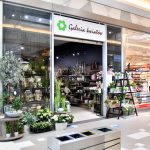 najemca galeria kwiatów w galerii solnej