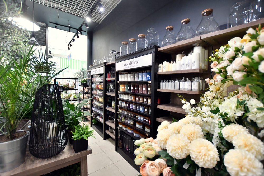 najemca galeria kwiatów w galerii solnej