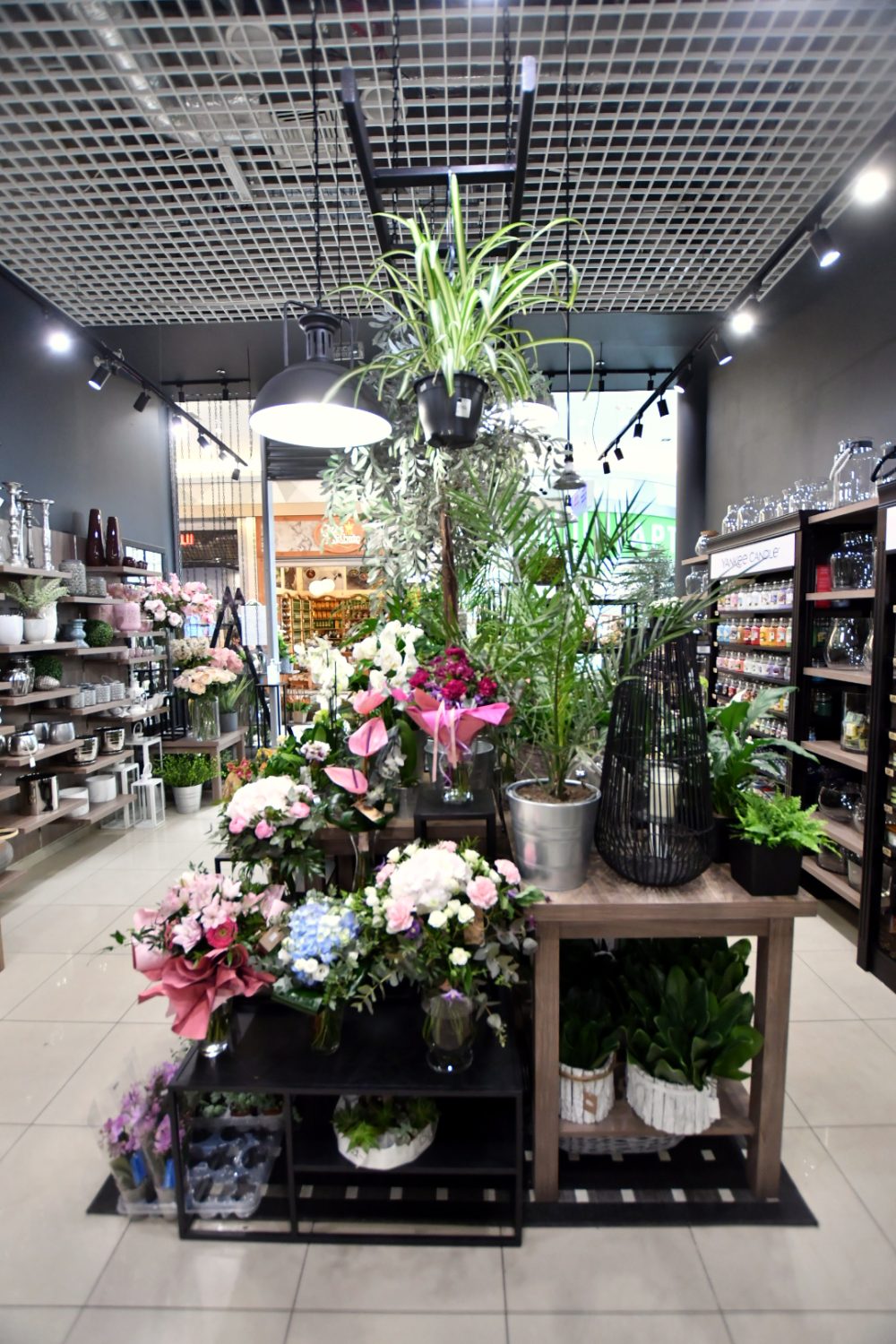 najemca galeria kwiatów w galerii solnej