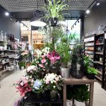 najemca galeria kwiatów w galerii solnej