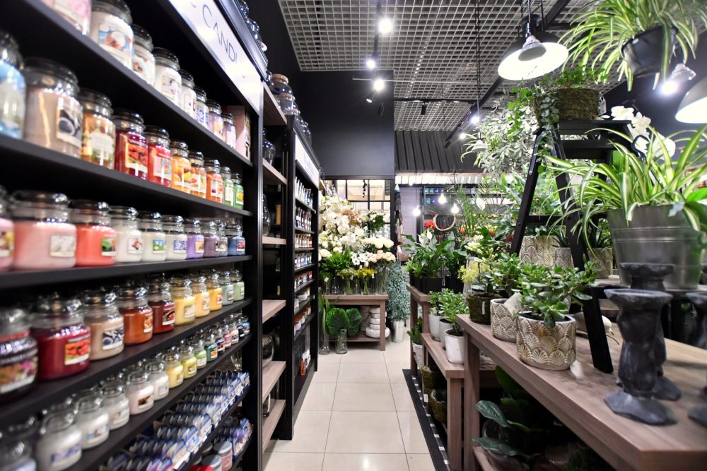 najemca galeria kwiatów w galerii solnej