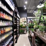 najemca galeria kwiatów w galerii solnej