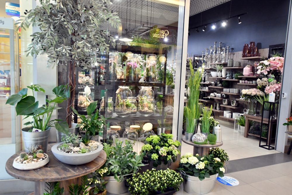 najemca galeria kwiatów w galerii solnej