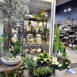 najemca galeria kwiatów w galerii solnej